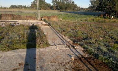 QUNTA 5 HAS.  IDEAL EMPRENDIMIENTO AGRO-INDUSTRIAL.