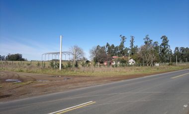 QUNTA 5 HAS.  IDEAL EMPRENDIMIENTO AGRO-INDUSTRIAL.