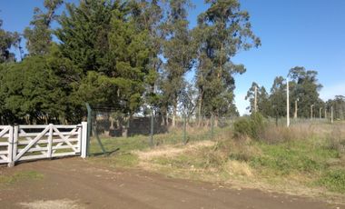 QUNTA 5 HAS.  IDEAL EMPRENDIMIENTO AGRO-INDUSTRIAL.