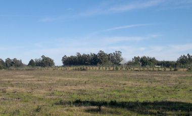 QUNTA 5 HAS.  IDEAL EMPRENDIMIENTO AGRO-INDUSTRIAL.