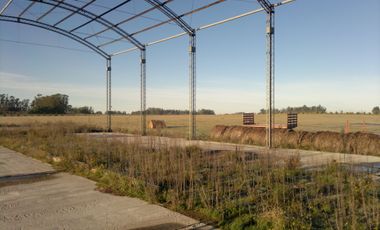 QUNTA 5 HAS.  IDEAL EMPRENDIMIENTO AGRO-INDUSTRIAL.