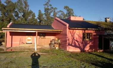 QUNTA 5 HAS.  IDEAL EMPRENDIMIENTO AGRO-INDUSTRIAL.