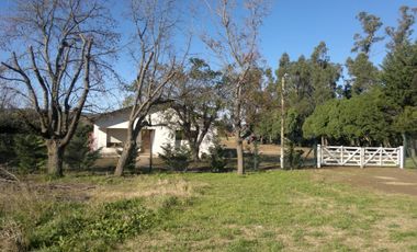 QUNTA 5 HAS.  IDEAL EMPRENDIMIENTO AGRO-INDUSTRIAL.