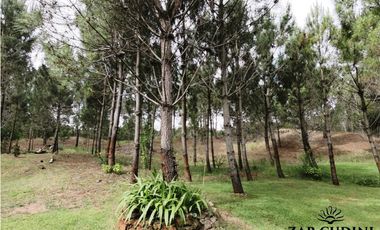 VENTA PINAMAR Bº LA HERRADURA CASA 5 AMBIENTES