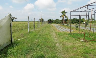 lote en venta en bolo alizal sur de palmira. Cod V9020152