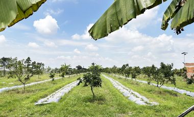 lote en venta en bolo alizal sur de palmira. Cod V9020152