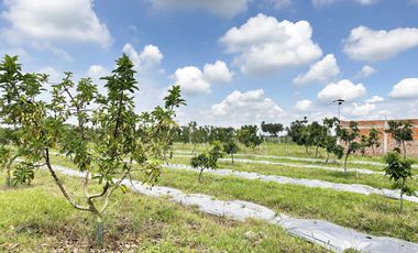 lote en venta en bolo alizal sur de palmira. Cod V9020152