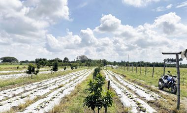 lote en venta en bolo alizal sur de palmira. Cod V9020152