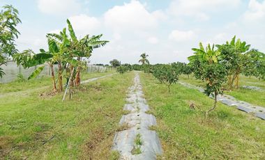 lote en venta en bolo alizal sur de palmira. Cod V9020152