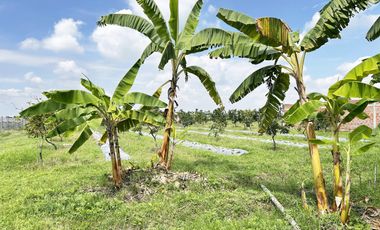 lote en venta en bolo alizal sur de palmira. Cod V9020152