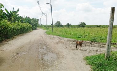 lote en venta en bolo alizal sur de palmira. Cod V9020152