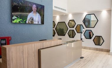 OFICINAS EN RENTA EN TORRE ALBERTINA ZONA LA PAZ