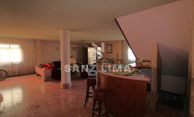 Zona Centro: Amplia casa con jardín, ideal para hotel o restaurante-bar