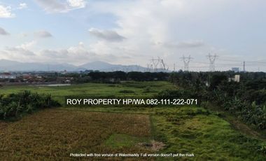 Tanah Murah Bojonegara Serang Banten 7 Ha Dkt TOL INDUSTRI