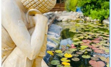 CAMINO ANTIGUO MELIPILLA EL MONTE / CHIÑIGÜE LAS ROSAS