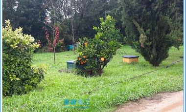 CAMINO ANTIGUO MELIPILLA EL MONTE / CHIÑIGÜE LAS ROSAS