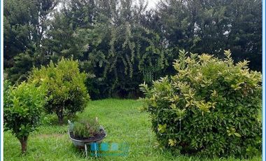 CAMINO ANTIGUO MELIPILLA EL MONTE / CHIÑIGÜE LAS ROSAS