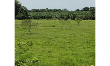 VENDO FINCA DE 86 HECTAREAS EN BOCAS DEL TORO