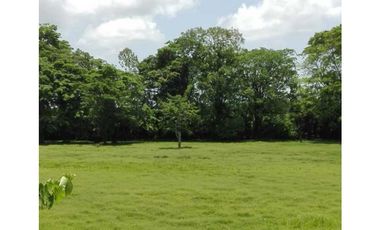 VENDO FINCA DE 86 HECTAREAS EN BOCAS DEL TORO