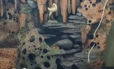 DiJual CEPAT Rumah dan Isinya di Kota Mataram - Lombok