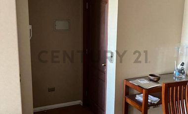 SE ARRIENDA DEPARTAMENTO AMOBLADO SECTOR PLAZA PINTO