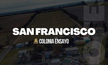 LOTEO SAN FRANCISCO - COLONIA ENSAYO