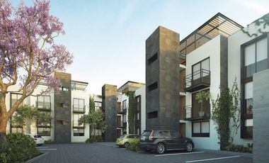 DEPTO VENTA COLONIA LA PAZ RENTA$15,000.00 con mantenimiento incluido