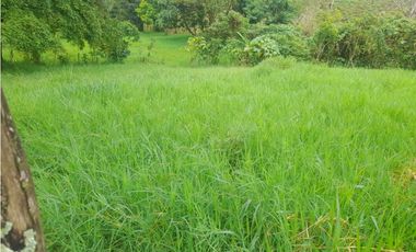 Venta Finca en Fredonia, 38.400 mts, Independiente