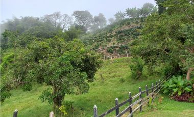 Venta Finca en Fredonia, 38.400 mts, Independiente