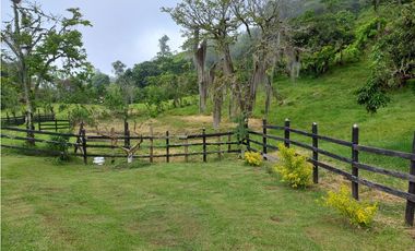 Venta Finca en Fredonia, 38.400 mts, Independiente