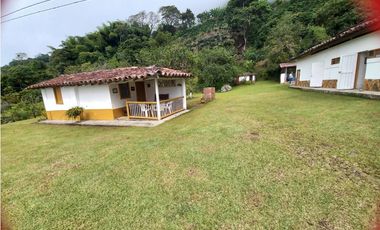 Venta Finca en Fredonia, 38.400 mts, Independiente