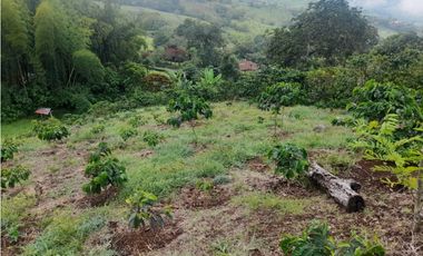 Venta Finca en Fredonia, 38.400 mts, Independiente