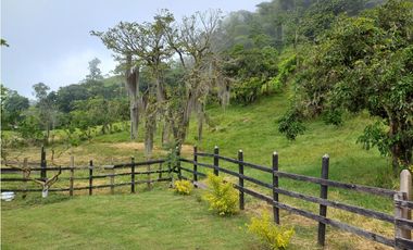 Venta Finca en Fredonia, 38.400 mts, Independiente