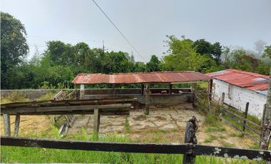 Venta Finca en Fredonia, 38.400 mts, Independiente