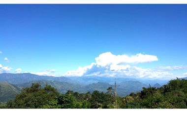 Venta Finca en Fredonia, 38.400 mts, Independiente