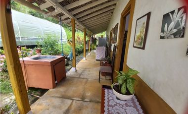 Venta Finca en Fredonia, 38.400 mts, Independiente