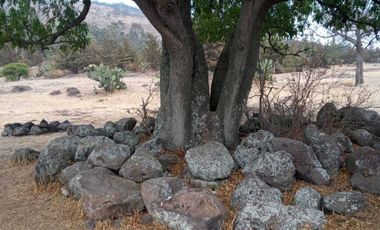 AMPLIO TERRENO CERCA DE ARCO NORTE