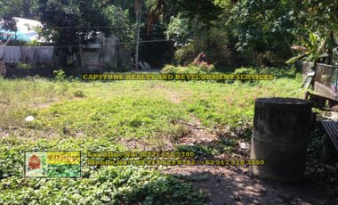 853 Sqm Titled Residential Lot for sale, Bacnotan, La Union (SOLD)