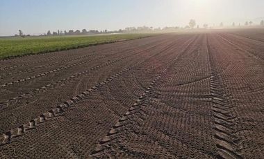San José Iturbide Gto.45 Ha Planas con frente a carretera entre  Dr. Mora y SMA