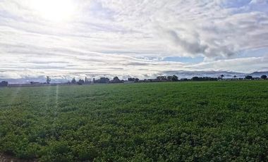 San José Iturbide Gto.45 Ha Planas con frente a carretera entre  Dr. Mora y SMA