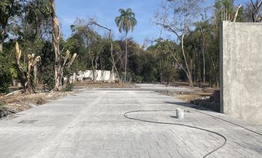 Avenida Compositores