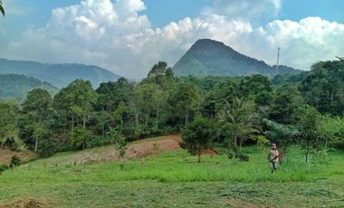 Pesona Villa Sukaharja - Kavling Kebun Produktif di Bogor Timur