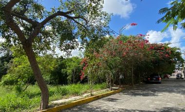 Terreno para desarrollar condominios en Sm 17 Cancun en Venta