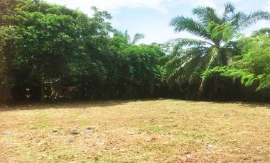 Terrenos Residenciales Venta JR. Nueva Luz de Fatima  - YARINACOCHA