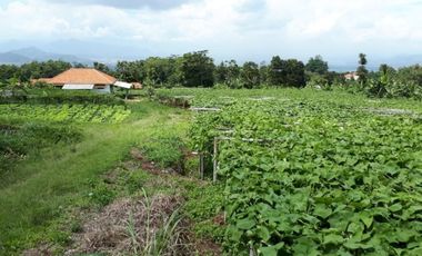 Dijual tanah strategis sejuk indah Cisarua dekat kantor KBB Bandung barat