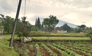 Kavling Murah Dekat Kebun Durian Warso Farm, Angsur 12X