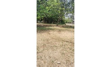 VENDO LOTE COMERCIAL DE 1300M2 DAVID
