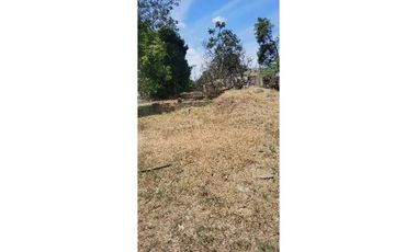 VENDO LOTE COMERCIAL DE 1300M2 DAVID