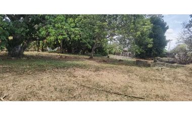 VENDO LOTE COMERCIAL DE 1300M2 DAVID