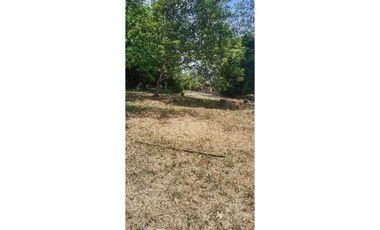 VENDO LOTE COMERCIAL DE 1300M2 DAVID